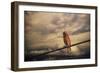 End of the Day-Jai Johnson-Framed Giclee Print