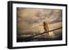 End of the Day-Jai Johnson-Framed Giclee Print