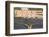 End of the Road-DLILLC-Framed Photographic Print