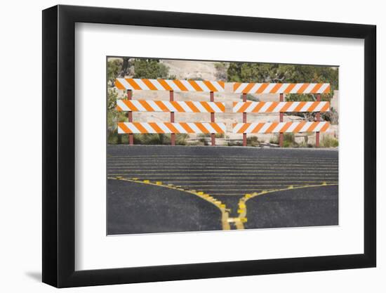 End of the Road-DLILLC-Framed Photographic Print