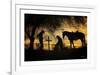 End of the Trail-Barry Hart-Framed Giclee Print