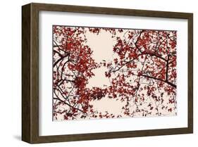 End of the Wind IV-null-Framed Art Print