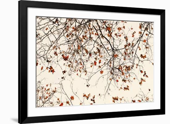 End of the Wind VI-null-Framed Art Print