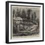 End of the Zulu War, Convalescent Hospital for Officers at Pine Town, Natal-null-Framed Giclee Print