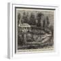End of the Zulu War, Convalescent Hospital for Officers at Pine Town, Natal-null-Framed Giclee Print