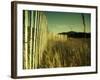 End Summer-Irene Suchocki-Framed Photographic Print