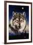 Endangered-Jenny Newland-Framed Giclee Print