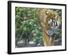 Endangered-Luis Aguirre-Framed Giclee Print