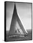 Endeavor II Losing America's Cup-Bettmann-Framed Stretched Canvas