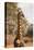 Endemic Thornicroft Giraffe-Michele Westmorland-Stretched Canvas