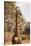 Endemic Thornicroft Giraffe-Michele Westmorland-Stretched Canvas