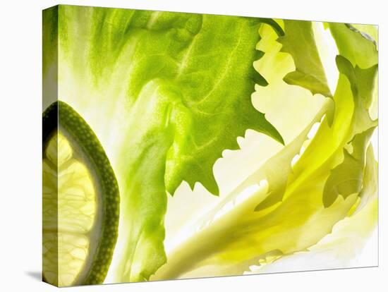 Endive with a Slice of Lime-Peter Rees-Stretched Canvas