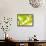 Endive with a Slice of Lime-Peter Rees-Framed Stretched Canvas displayed on a wall