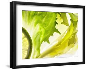 Endive with a Slice of Lime-Peter Rees-Framed Photographic Print