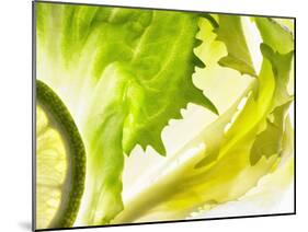 Endive with a Slice of Lime-Peter Rees-Mounted Photographic Print