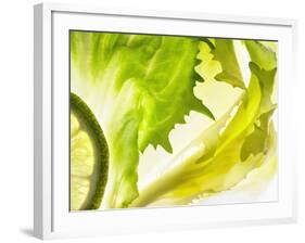 Endive with a Slice of Lime-Peter Rees-Framed Photographic Print