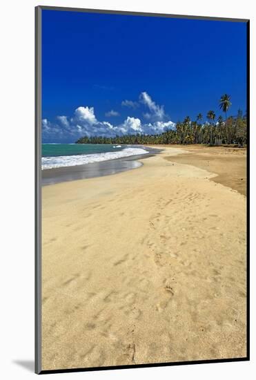 Endless Caribbean Beach-George Oze-Mounted Photographic Print