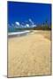 Endless Caribbean Beach-George Oze-Mounted Photographic Print