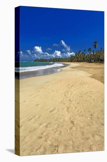 Endless Caribbean Beach-George Oze-Stretched Canvas