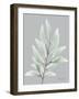 Endless Combination 1-Albert Koetsier-Framed Art Print