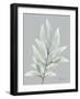 Endless Combination 1-Albert Koetsier-Framed Art Print