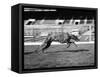 Endless Gossip Racing at White City Stadium-null-Framed Stretched Canvas