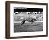 Endless Gossip Racing at White City Stadium-null-Framed Photographic Print