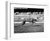 Endless Gossip Racing at White City Stadium-null-Framed Photographic Print