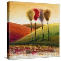 Endless Hills I-Mike Klung-Stretched Canvas