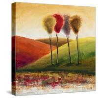 Endless Hills I-Mike Klung-Stretched Canvas