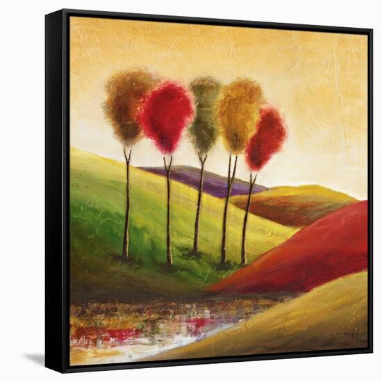Endless Hills II-Mike Klung-Framed Stretched Canvas