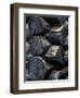 Endless Interest Log Cabin Detail-Steven Maxx-Framed Premium Photographic Print