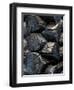 Endless Interest Log Cabin Detail-Steven Maxx-Framed Premium Photographic Print