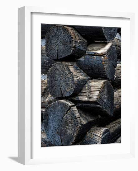 Endless Interest Log Cabin Detail-Steven Maxx-Framed Photographic Print