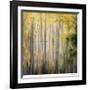 Endless Light-Jan Wagstaff-Framed Giclee Print