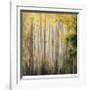 Endless Light-Jan Wagstaff-Framed Giclee Print