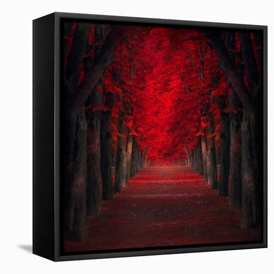 Endless Passion-Ildiko Neer-Framed Stretched Canvas