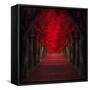 Endless Passion-Ildiko Neer-Framed Stretched Canvas