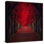 Endless Passion-Ildiko Neer-Stretched Canvas