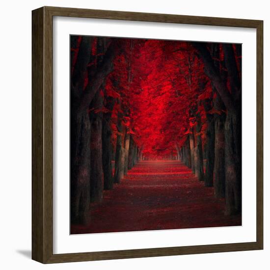 Endless Passion-Ildiko Neer-Framed Photographic Print