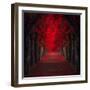 Endless Passion-Ildiko Neer-Framed Photographic Print