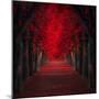 Endless Passion-Ildiko Neer-Mounted Photographic Print