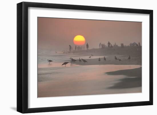 Endless Summer II-Karyn Millet-Framed Photographic Print