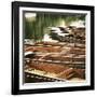 Endless Summer-Craig Roberts-Framed Photographic Print