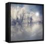 Endless-Philippe Sainte-Laudy-Framed Stretched Canvas