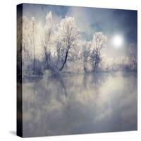Endless-Philippe Sainte-Laudy-Stretched Canvas