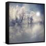 Endless-Philippe Sainte-Laudy-Framed Stretched Canvas