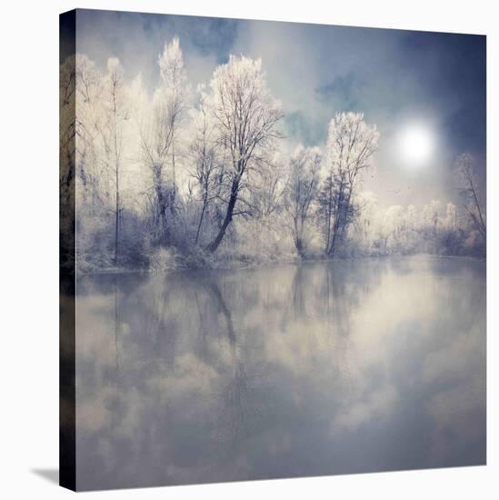 Endless-Philippe Sainte-Laudy-Stretched Canvas