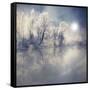 Endless-Philippe Sainte-Laudy-Framed Stretched Canvas