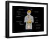 Endocrine System, Artwork-Francis Leroy-Framed Photographic Print